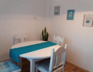Appartement 1 chambres à louer dans Cluj-napoca, zone Plopilor