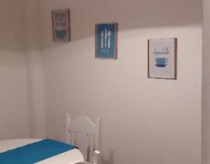 Appartement 1 chambres à louer dans Cluj-napoca, zone Plopilor