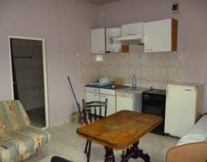 Appartement 2 chambres à louer dans Cluj-napoca, zone Iris
