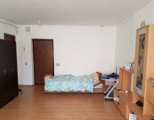Appartement 1 chambres à louer dans Cluj-napoca
