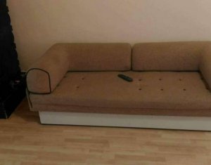 Appartement 1 chambres à louer dans Cluj-napoca, zone Centru