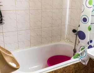 Appartement 1 chambres à louer dans Cluj-napoca, zone Marasti