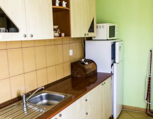 Appartement 2 chambres à louer dans Cluj-napoca, zone Manastur