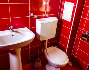 Appartement 2 chambres à louer dans Cluj-napoca, zone Manastur
