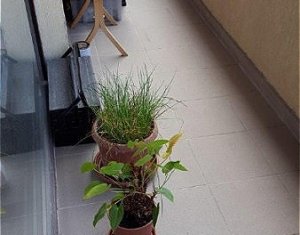 Appartement 2 chambres à louer dans Cluj-napoca, zone Buna Ziua