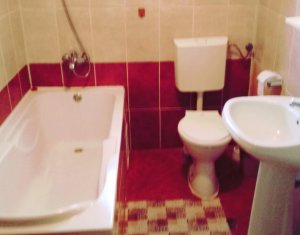 Appartement 1 chambres à louer dans Cluj-napoca, zone Zorilor