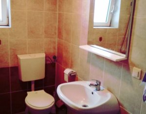 Appartement 1 chambres à louer dans Cluj-napoca, zone Zorilor