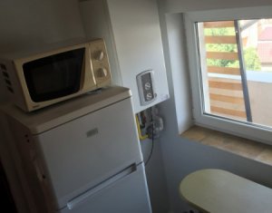 Appartement 1 chambres à louer dans Cluj-napoca, zone Centru