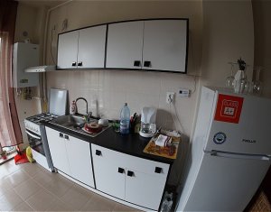 Appartement 2 chambres à louer dans Cluj-napoca, zone Intre Lacuri