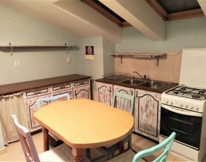 Appartement 1 chambres à louer dans Cluj-napoca, zone Marasti