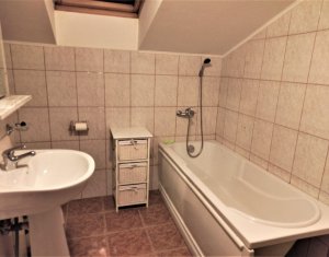 Appartement 1 chambres à louer dans Cluj-napoca, zone Marasti