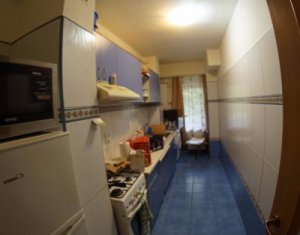 Appartement 1 chambres à louer dans Cluj-napoca, zone Gheorgheni