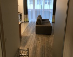 Appartement 1 chambres à louer dans Cluj-napoca, zone Iris