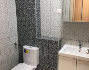 Appartement 1 chambres à louer dans Cluj-napoca, zone Iris
