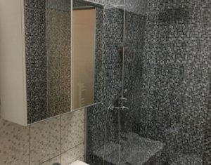 Appartement 1 chambres à louer dans Cluj-napoca, zone Iris