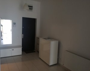 Appartement 2 chambres à louer dans Cluj-napoca, zone Plopilor