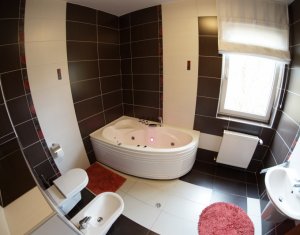 Appartement 3 chambres à louer dans Cluj-napoca, zone Andrei Muresanu