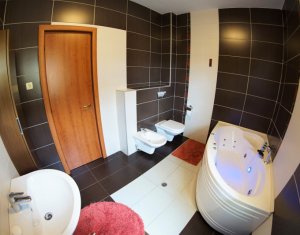 Appartement 3 chambres à louer dans Cluj-napoca, zone Andrei Muresanu