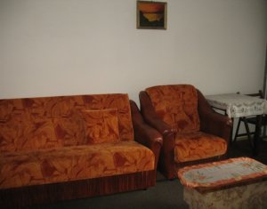 Appartement 1 chambres à louer dans Cluj-napoca, zone Zorilor