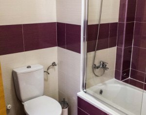 Appartement 2 chambres à louer dans Cluj-napoca, zone Gheorgheni