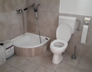 Appartement 4 chambres à louer dans Cluj-napoca, zone Iris