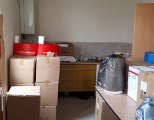 Appartement 4 chambres à louer dans Cluj-napoca, zone Iris