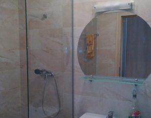 Appartement 2 chambres à louer dans Cluj-napoca, zone Iris