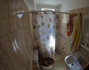 Appartement 2 chambres à louer dans Cluj-napoca, zone Gheorgheni