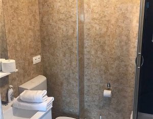 Appartement 3 chambres à louer dans Cluj-napoca, zone Dambul Rotund