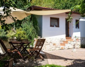 , 30m2 dans Cluj-napoca, zone Grigorescu