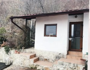 Appartement 1 chambres à louer dans Cluj-napoca, zone Grigorescu