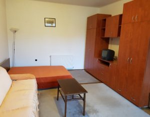 Appartement 1 chambres à louer dans Cluj-napoca, zone Gara