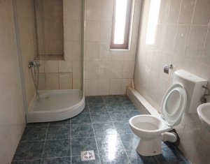 Maison 5 chambres à louer dans Cluj-napoca, zone Gruia
