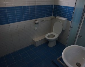 Maison 5 chambres à louer dans Cluj-napoca, zone Gruia