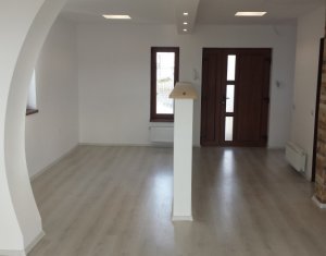 Maison 4 chambres à louer dans Cluj-napoca, zone Europa