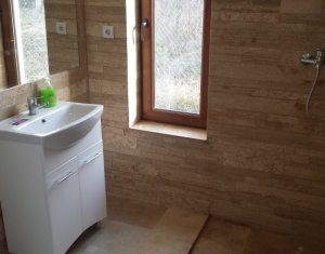 Maison 4 chambres à louer dans Cluj-napoca, zone Europa