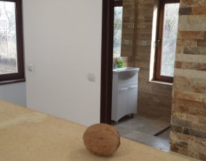 Maison 4 chambres à louer dans Cluj-napoca, zone Europa