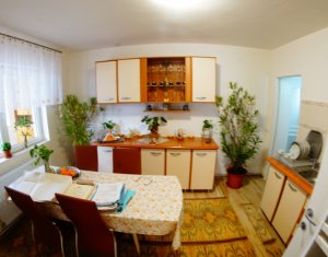 Maison 8 chambres à vendre dans Cluj-napoca, zone Someseni