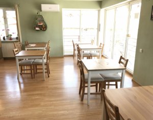 Espace Commercial à louer dans Cluj-napoca