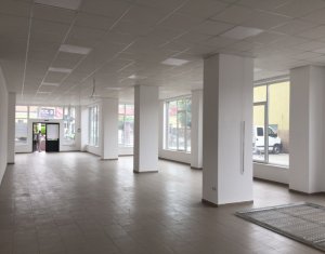 Espace Commercial à louer dans Cluj-napoca, zone Gara