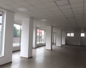 Espace Commercial à louer dans Cluj-napoca, zone Gara