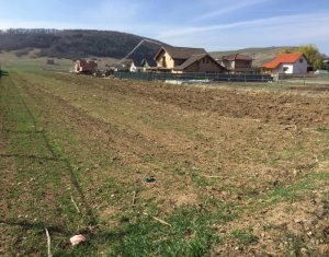 Telek eladó on Floresti