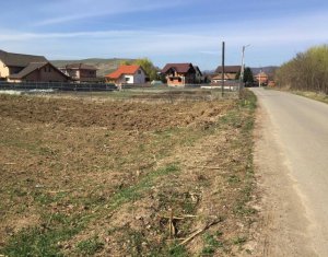 , 2900m2 on Floresti