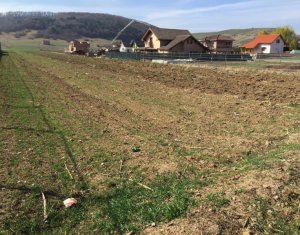 Telek eladó on Floresti