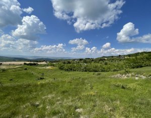 Telek eladó on Cluj-napoca, Zóna Faget
