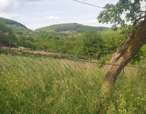 Teren autorizat, 800 mp, Ciurila