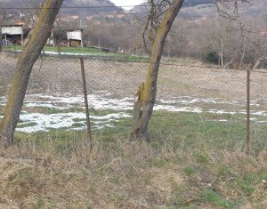 Teren autorizat, 800 mp, Ciurila