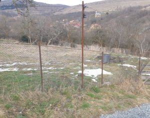 Teren autorizat, 800 mp, Ciurila
