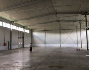 Ipari helyiség kiadó on Cluj-napoca, Zóna Someseni