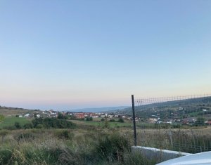 Telek eladó on Chinteni